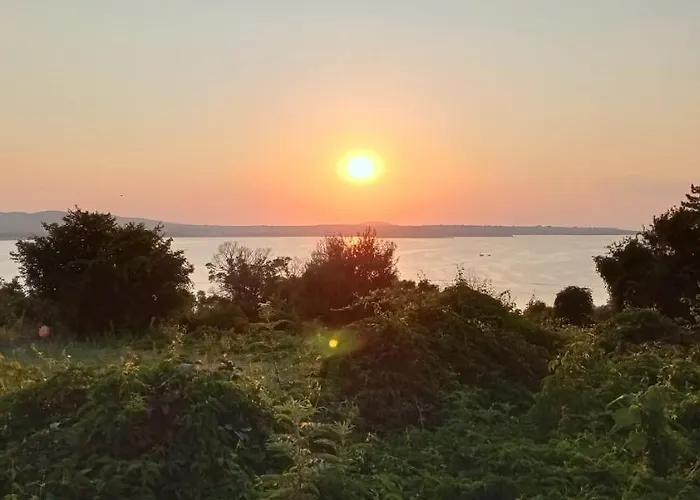 Bonne Chance * סוזופול