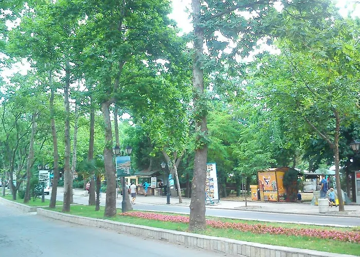 Bonne Chance דירה *