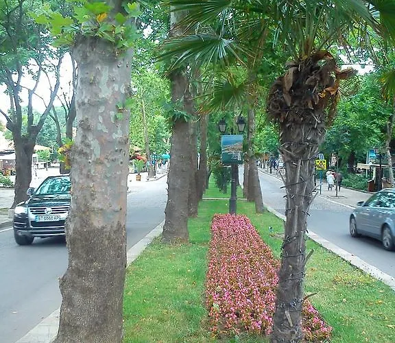 Bonne Chance Sozopol